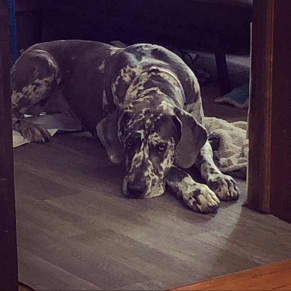 My baby needs surgery! - Picture 4 of 10